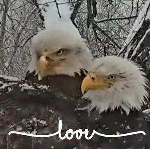 Meet your Posher, Robin